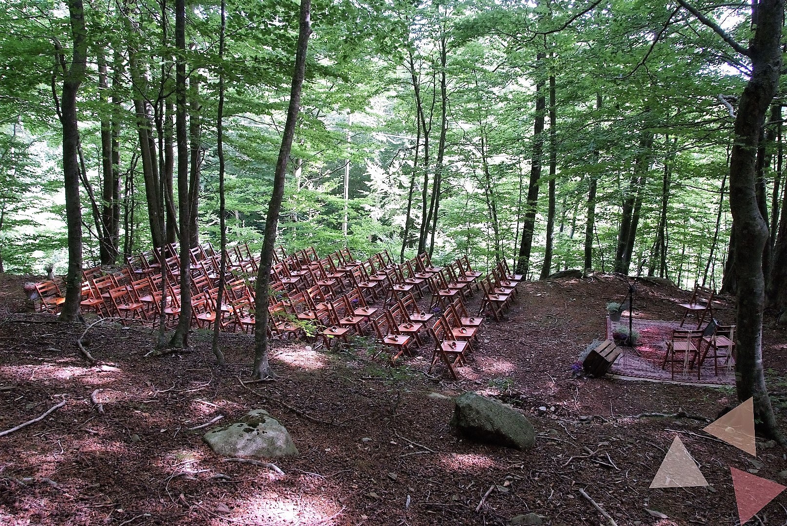 Carpet rental for wedding in nature